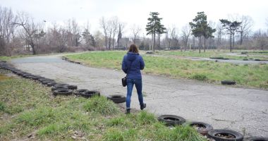 Ruine, bălării și maidane. "Jungla" din curtea Palatului Copiilor - 4