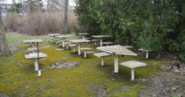 Ruine, bălării și maidane. "Jungla" din curtea Palatului Copiilor - 7