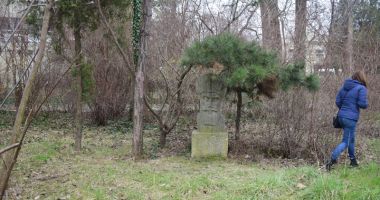 Ruine, bălării și maidane. "Jungla" din curtea Palatului Copiilor - 8