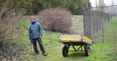Ruine, bălării și maidane. "Jungla" din curtea Palatului Copiilor - 9
