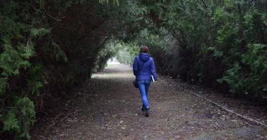 Ruine, bălării și maidane. "Jungla" din curtea Palatului Copiilor - 11
