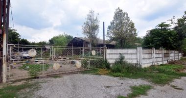 Flotila de Hidroaviație de la Palazu Mare, "scufundată" în bălării și uitare - 11