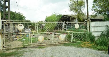 Stire din Social : Flotila de Hidroaviație de la Palazu Mare, "scufundată" în bălării și uitare
