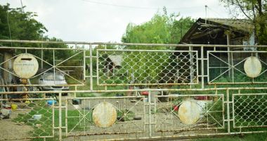 Flotila de Hidroaviație de la Palazu Mare, "scufundată" în bălării și uitare - 3