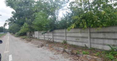 Flotila de Hidroaviație de la Palazu Mare, "scufundată" în bălării și uitare - 6