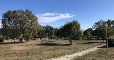 Parcul "plângerii" din cartierul Poarta 6. Terenul este revendicat, primăria nu face nimic pe el - 7