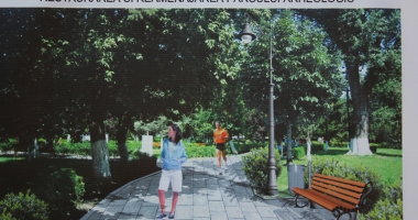 Dezastrul din Parcul de la Primărie.  "Să fie scoși la muncă asistații social din cartierul Henri Coandă!" - 9
