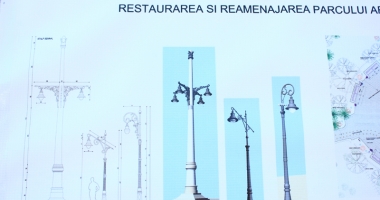 Dezastrul din Parcul de la Primărie.  "Să fie scoși la muncă asistații social din cartierul Henri Coandă!" - 12