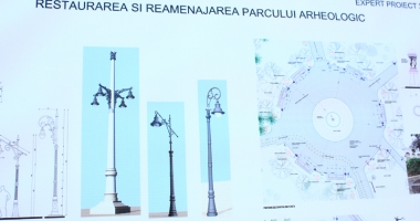 Dezastrul din Parcul de la Primărie.  "Să fie scoși la muncă asistații social din cartierul Henri Coandă!" - 13