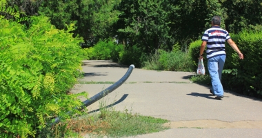Stire din Social : Dezastrul din Parcul de la Primărie.  "Să fie scoși la muncă asistații social din cartierul Henri Coandă!"