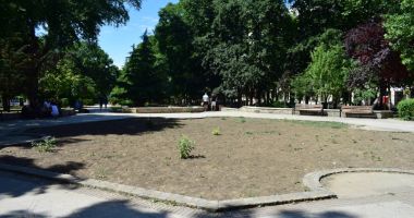 Parcuri fără flori, în mijlocul verii. "Oare acesta este orașul Constanța?" - 5