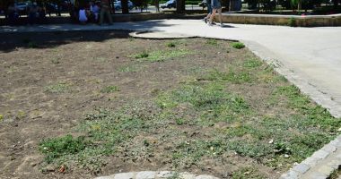 Parcuri fără flori, în mijlocul verii. "Oare acesta este orașul Constanța?" - 7
