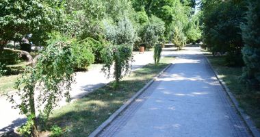 Parcuri fără flori, în mijlocul verii. "Oare acesta este orașul Constanța?" - 10