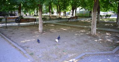 Parcuri fără flori, în mijlocul verii. "Oare acesta este orașul Constanța?" - 15
