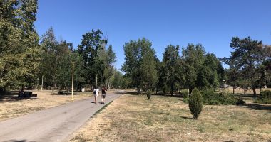 Pârjol în Parcul Tăbăcărie. Iarbă arsă și copaci uscați, în cel mai mare parc al Constanței - 5