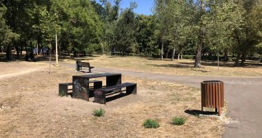 Pârjol în Parcul Tăbăcărie. Iarbă arsă și copaci uscați, în cel mai mare parc al Constanței - 4