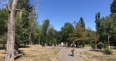 Stire din Social : Pârjol în Parcul Tăbăcărie. Iarbă arsă și copaci uscați, în cel mai mare parc al Constanței