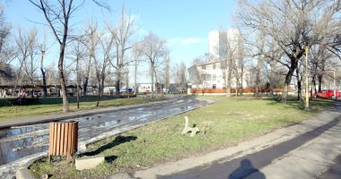 Dosarele X! Afaceri cu parcurile și spațiile verzi din Constanța - 3