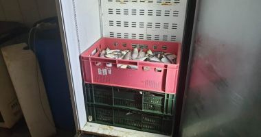 Mizerii servite constănțenilor! Cine dirijează din umbră Mafia peștelui - 4