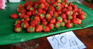 Constănțenii, îndopați cu fructe de import. Căpșunele și cireșele românești, aduse din… Grecia - 2