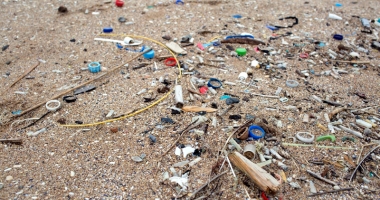 Plaje mizerabile pe litoralul românesc. Nisipul de la Vama Veche, plin de mucuri de țigară - 4