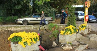 Stire din Social : Se înverzește Constanța. A început campania de plantări de toamnă