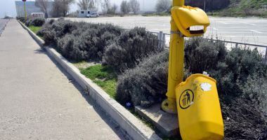 Stire din Social : Portul Tomis, între ruine, buruieni și bărcuțe de lux