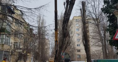 Prăpăd în Constanța după codul portocaliu. 52 de copaci rupți și 15 semafoare distruse - 2