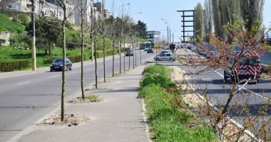 Nereguli și probleme la proiectul de reabilitare a zonei Poarta 1 Port Constanța - 6