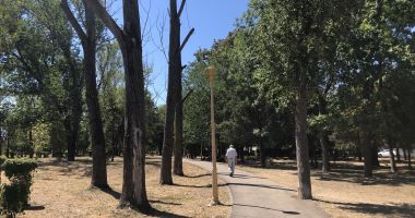Registrul spaţiilor verzi, finalizat după nouă ani de măcel al parcurilor - 2