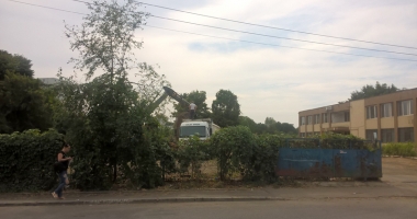 Un nou tun imobiliar la Constanța! Au ras două grădini pentru a ridica blocuri - 9