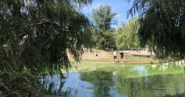 Satul de Vacanță, între kitsch și tradițional. "Schimbați-i numele, căci a devenit un bazar pestriț, fără stil!" - 2