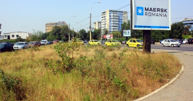 Punem preț pe spațiile verzi! Ce glumă proastă… - 8