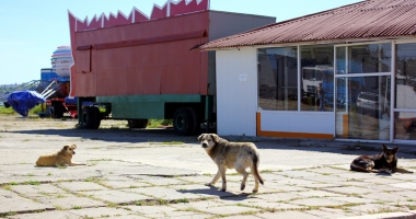 Reînvie sudul litoralului? Străinii cumpără hotelurile din stațiuni, românii le vând - 8