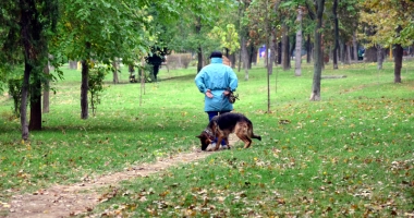 "Nu vrem ca ai noștri copii să se joace printre rahați de câini!" - 6