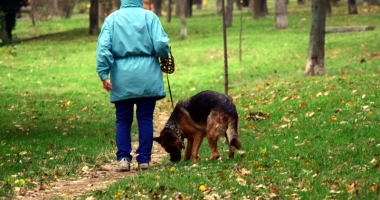 "Nu vrem ca ai noștri copii să se joace printre rahați de câini!" - 4