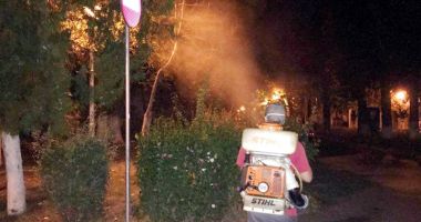 Stire din Social : "Acțiunile de dezinsecție făcute  de primărie - un fiasco total, tardive și ineficiente"