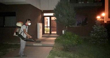 Constanța, invadată de țânțari și gândaci. Mai lipsesc șobolanii și șerpii! - 2