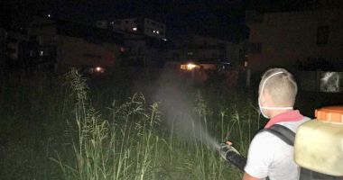 Constanța, invadată de țânțari și gândaci. Mai lipsesc șobolanii și șerpii! - 4