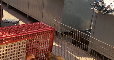 Pericol pentru sănătatea constănțenilor! Târgul săptămânal, ce mizerie… - 4