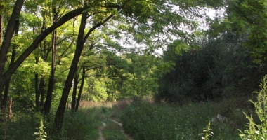 Peisaje de vis și legende cu fantome - 4