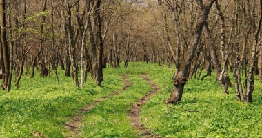 Peisaje de vis și legende cu fantome - 3