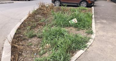 Stire din Social : Trotuare cu pietriș, în mijlocul municipiului, și bălării uriașe, pe străzile reabilitate din Constanța