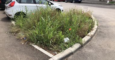 Trotuare cu pietriș, în mijlocul municipiului, și bălării uriașe, pe străzile reabilitate din Constanța - 9