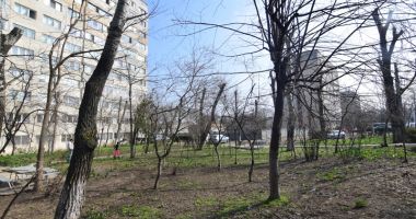 Un nou tun imobiliar, la Constanța! Dispare încă un spațiu verde, pe Șoseaua Mangaliei - 6