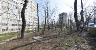 Un nou tun imobiliar, la Constanța! Dispare încă un spațiu verde, pe Șoseaua Mangaliei - 7
