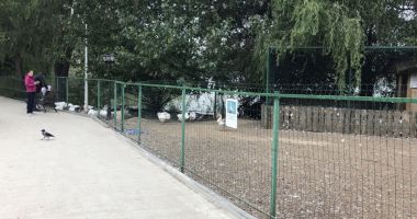 Intelect Parc se deschide la Complexul Muzeal de Științe ale Naturii - 2