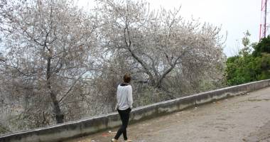 IMAGINI ÎNFRICOȘĂTOARE LA CONSTANȚA. "În viața mea nu am văzut așa ceva" - 5