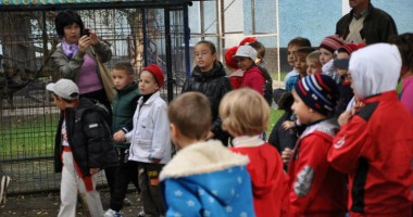 Stire din Politică-Administrație : Matei a dus peste 100 de copii la mini grădina zoo de la Legmas