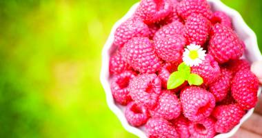 Cura cu fructe de pădure: beneficii pentru sănătate